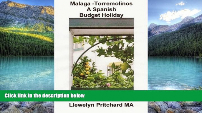 Big Deals  Malaga -Torremolinos A Spanish Budget Holiday (The Illustrated Diaries of Llewelyn