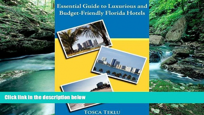 Big Deals  Essential Guide to Luxurious and Budget-Friendly Florida Hotels  Full Read Best Seller