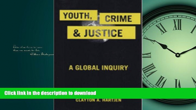 DOWNLOAD Youth, Crime, and Justice: A Global Inquiry (Critical Issues in Crime and Society