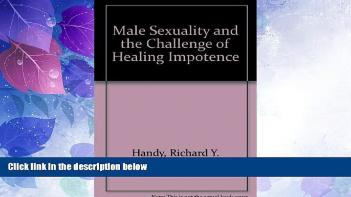 Big Deals  Male Sexuality and the Challenge of Healing Impotence  Full Read Best Seller