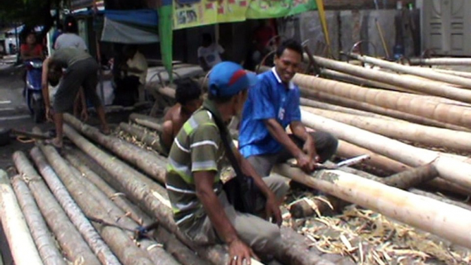 MEDAN - JELANG 17 AN PENJUALAN POHON PINANG MENURUN