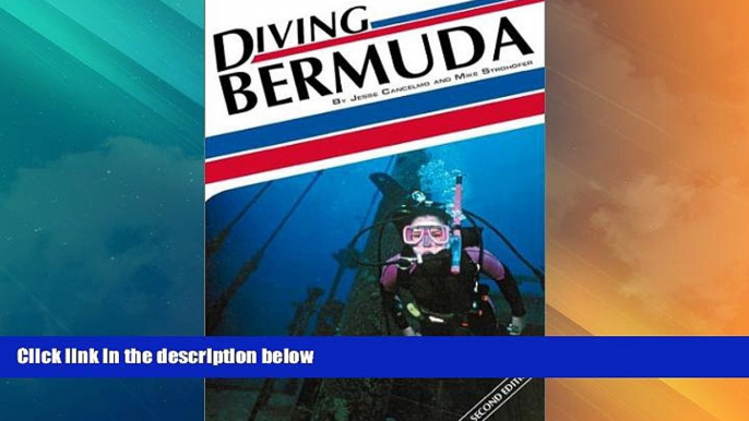 Big Deals  Diving Bermuda (Aqua Quest Diving)  Best Seller Books Most Wanted