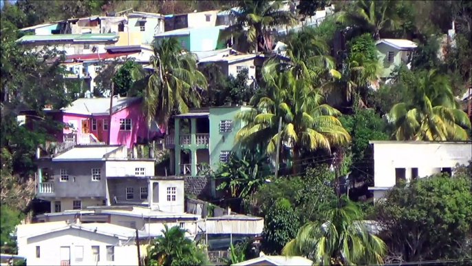 Viaggio nei caraibi.. St. Kitts Scenic Railway basseterre