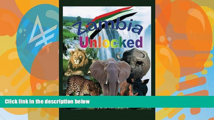 Must Have PDF  Zambia Unlocked  Best Seller Books Best Seller