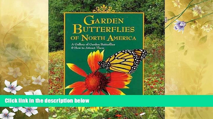 For you Garden Butterflies of North America: A Gallery of Garden Butterflies   How to Attract Them