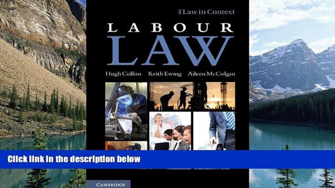 Books to Read  Labour Law (Law in Context)  Full Ebooks Most Wanted