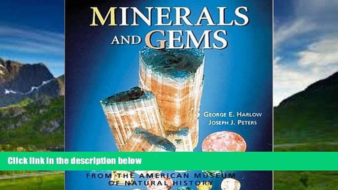 Big Deals  Minerals and Gems From The American Museum of Natural History  Full Read Most Wanted