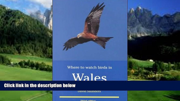 Big Deals  Where to Watch Birds in Wales  Full Read Most Wanted