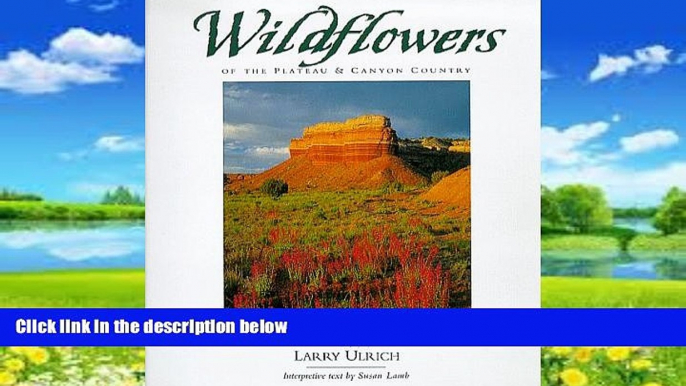 Big Deals  Wildflowers of the Plateau and Canyon Country  Full Read Most Wanted