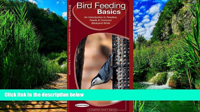 Big Deals  Bird Feeding Basics: A Folding Pocket Guide to Feeders, Feeds   Backyard Birds (Animal