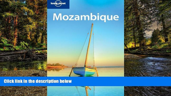 Big Deals  Lonely Planet Mozambique (Country Travel Guide)  Best Seller Books Most Wanted