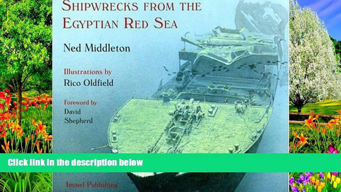 Big Deals  Shipwrecks from the Egyptian Red Sea  Best Seller Books Best Seller