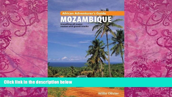 Big Deals  African Adventurer s Guide to Mozambique: Travelling All Major Routes and Gravel Tracks