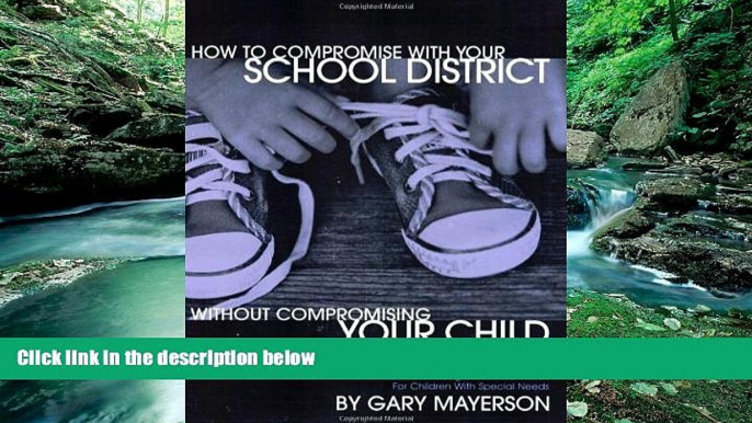 Big Deals  How to Compromise with Your School District Without Compromising Your Child: A Field