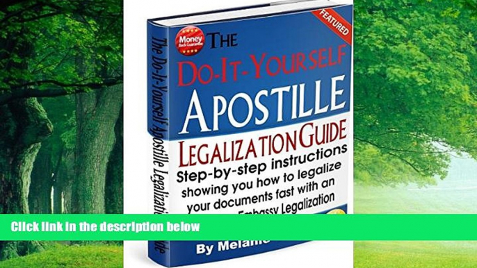 Books to Read  The Do-It-Yourself Apostille   Legalization Guide: Step-by-step instructions