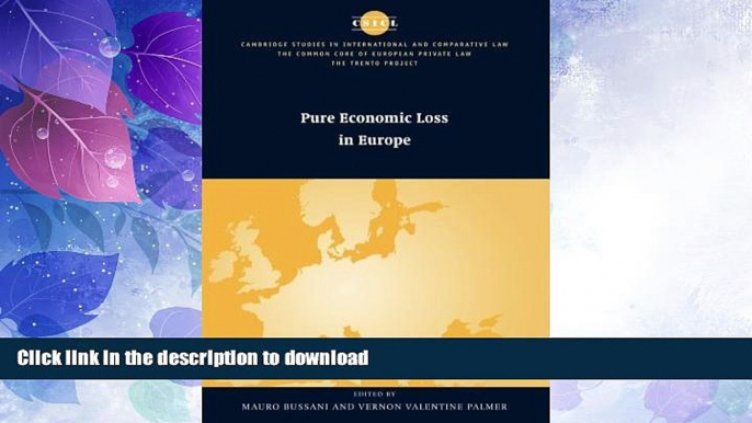 READ BOOK  Pure Economic Loss in Europe (The Common Core of European Private Law)  BOOK ONLINE