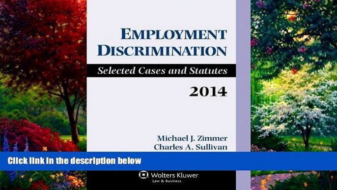 Big Deals  Employment Discrimination: Law   Practice Supplement  Full Ebooks Most Wanted