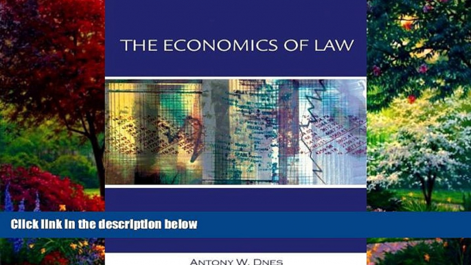 Big Deals  Economics of Law: Property, Contracts and Obligations with Economic Applications  Best