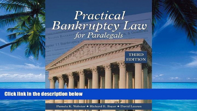 Big Deals  Practical Bankruptcy Law for Paralegals  Full Ebooks Best Seller