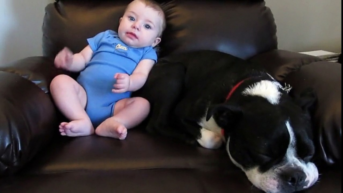 Il bambino fa un peto sulla poltrona. La reazione del cane vi farà morire dal ridere