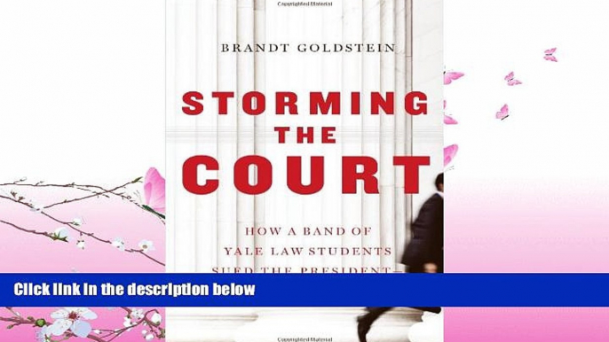 GET PDF  Storming the Court: How a Band of Yale Law Students Sued the President--and Won