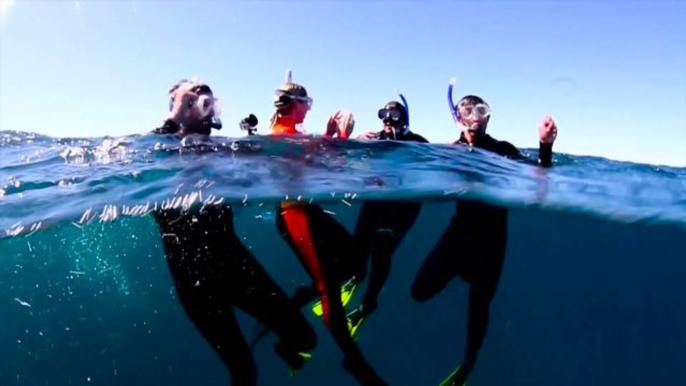 Exploring Western Australia's Coral Coast