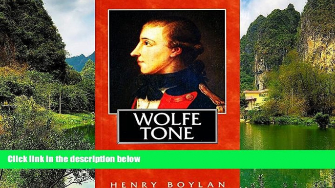 Deals in Books  Theobald Wolfe Tone (1763-98), A Life: The Definitive Short Biography of the