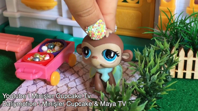 LPS: Havalı Kız || Minişler Cupcake Tv