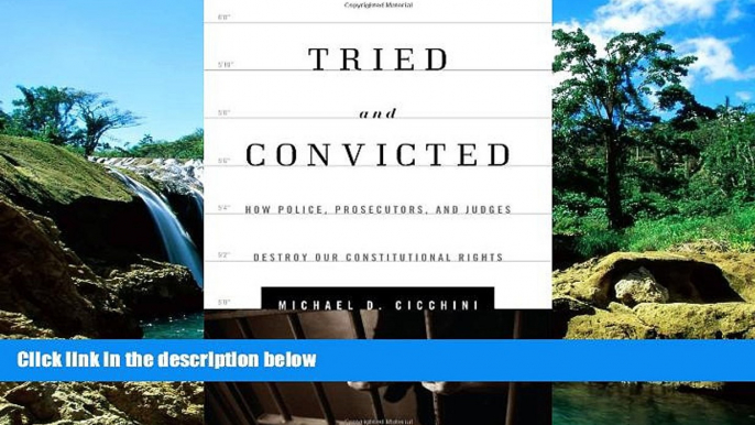 Must Have  Tried and Convicted: How Police, Prosecutors, and Judges Destroy Our Constitutional