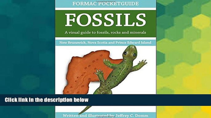 READ FULL  Formac Pocketguide to Fossils: Fossils, Rocks   Minerals in Nova Scotia, New Brunswick