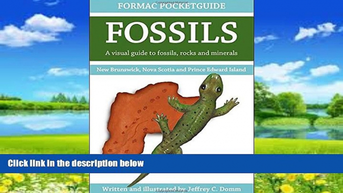 Big Deals  Formac Pocketguide to Fossils: Fossils, Rocks   Minerals in Nova Scotia, New Brunswick