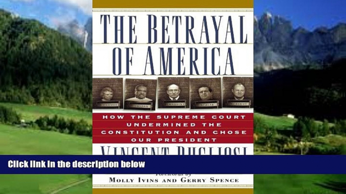 Big Deals  The Betrayal of America: How the Supreme Court Undermined the Constitution and Chose