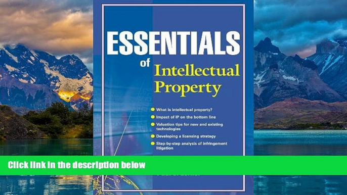 Big Deals  Essentials of Intellectual Property (Essentials Series)  Full Ebooks Most Wanted