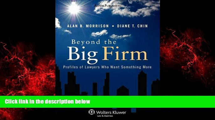 EBOOK ONLINE  Beyond the Big Firm: Profiles of Lawyers Who Want Something More (Introduction to