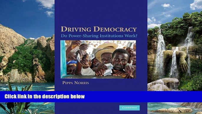 Books to Read  Driving Democracy: Do Power-Sharing Institutions Work?  Best Seller Books Most Wanted