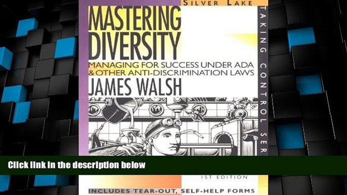 Big Deals  Mastering Diversity (Taking Control)  Full Read Best Seller