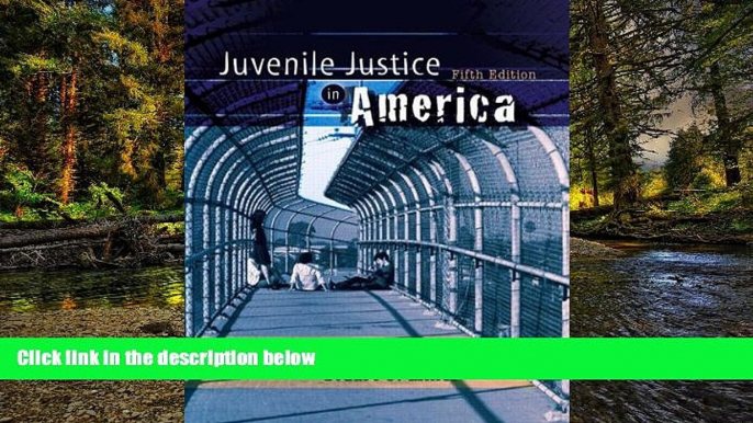 READ FULL  Juvenile Justice in America Value Package (includes Voices in the Juvenile Justice