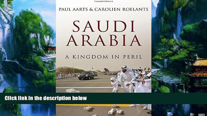 Big Deals  Saudi Arabia: A Kingdom in Peril  Full Ebooks Best Seller