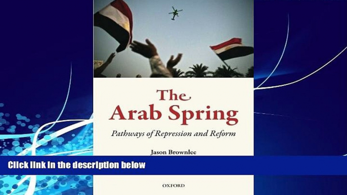 Big Deals  The Arab Spring: Pathways of Repression and Reform  Best Seller Books Most Wanted