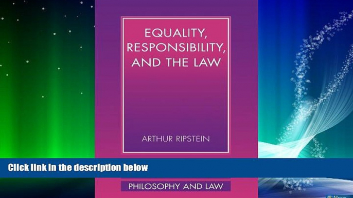 Big Deals  Equality, Responsibility, and the Law (Cambridge Studies in Philosophy and Law)  Best