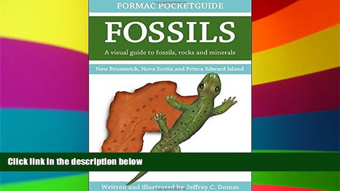 READ FULL  Formac Pocketguide to Fossils: Fossils, Rocks   Minerals in Nova Scotia, New Brunswick