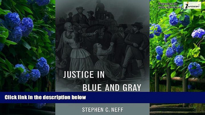 Big Deals  Justice in Blue and Gray: A Legal History of the Civil War  Best Seller Books Most Wanted