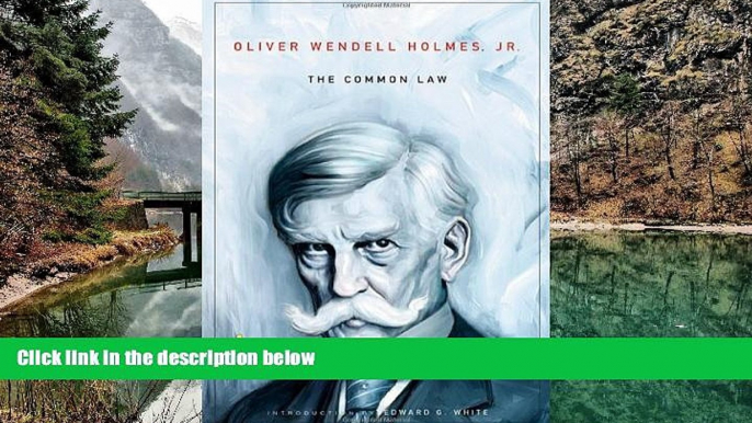 Big Deals  The Common Law (The John Harvard Library)  Full Read Most Wanted