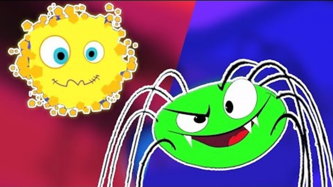 incy wincy spider | vidéo éducative | rimes populaires pour les enfants | Incy Wincy Spider