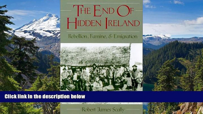 Must Have  The End of Hidden Ireland: Rebellion, Famine, and Emigration  READ Ebook Online Audiobook