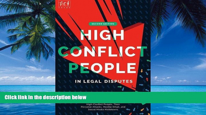 Big Deals  High Conflict People in Legal Disputes  Best Seller Books Most Wanted