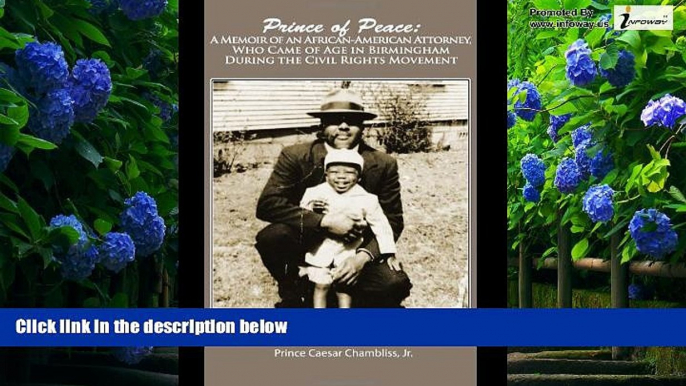 Big Deals  Prince of Peace: A Memoir of an African-American Attorney, Who Came of Age in