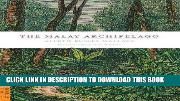 [EBOOK] DOWNLOAD The Malay Archipelago (Periplus Classics Series) READ NOW