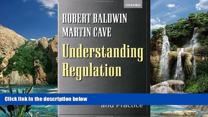 Big Deals  Understanding Regulation: Theory, Strategy, and Practice  Full Ebooks Most Wanted