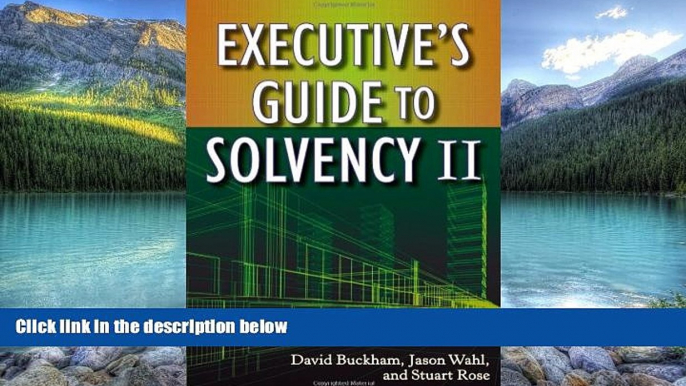 Books to Read  Executive s Guide to Solvency II  Best Seller Books Best Seller